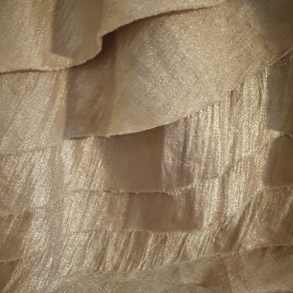 Stunning Champagne Colored Event Dress 20W - Picture 2 of 6